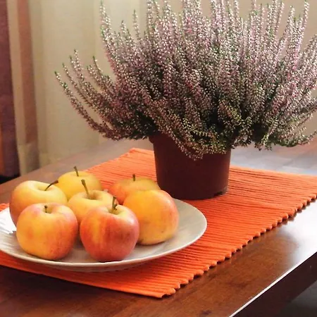 Апартаменты Yllaes 101 Юллясярви