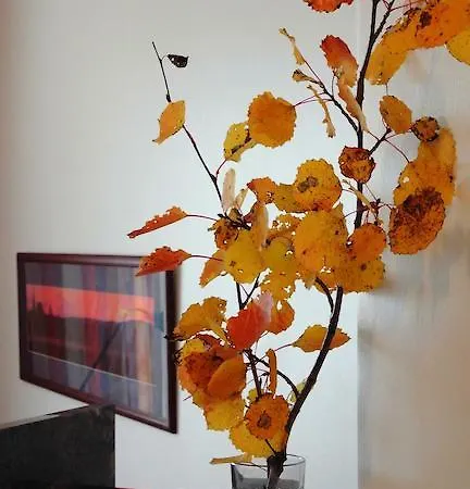 Διαμέρισμα Yllaes 101 *